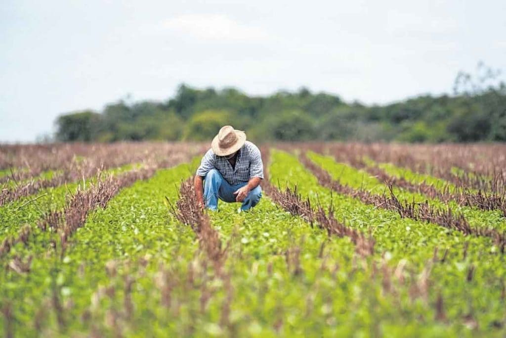 Serviço de Contabilida Rural